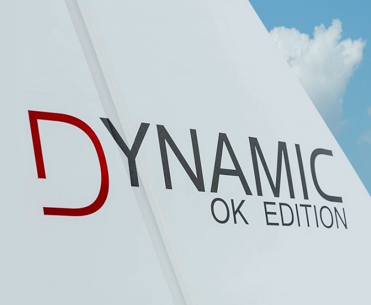 The Dynamic OK Distinction